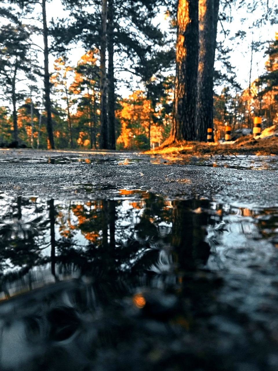 after rain